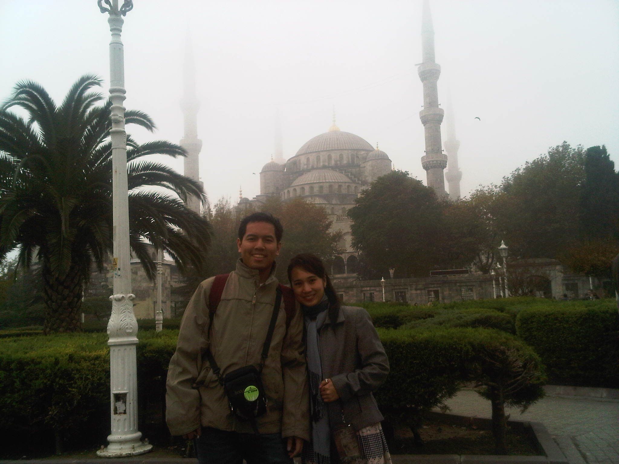 Istanbul Turki, kota dengan banyak kucing lucu