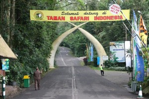 SERUNYA TAMAN SAFARI BOGOR ..