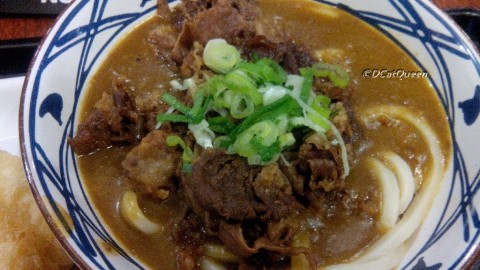 Beef Curry Udon cuma Rp 50,000 only ^o^