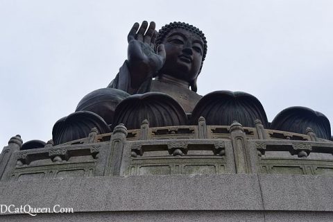 ITINERARY HONGKONG MACAU 6 HARI 5 MALAM UNTUK KELUARGA