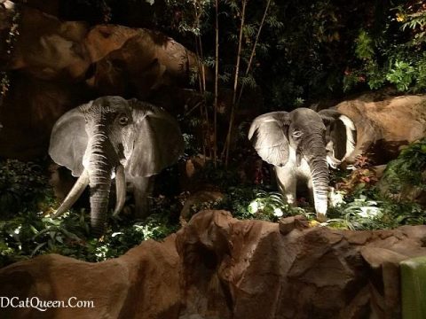 KULINER JAKARTA: MADAGASKAR CAFE, SAAT TEMPAT DAN RASA TIDAK SEJALAN….