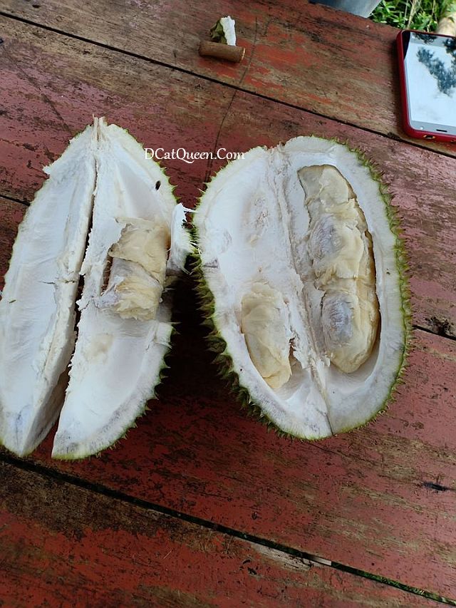 wisata kuliner di purwokerto, makan durian di baturaden
