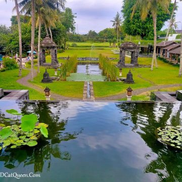 HOTEL YOGYAKARTA: FIRST IMPRESSION MENGINAP DI HYATT REGENCY JOGJA