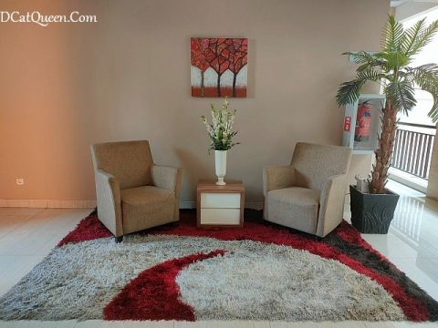 MERASAKAN MENGINAP DI KOS-AN MEWAH RASUNA ICON, JAKARTA