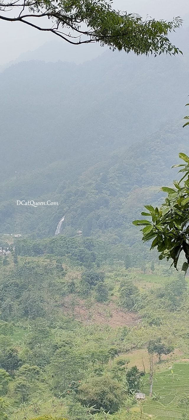 KULINER BOGOR: MENIKMATI ALAM SAMBIL MAKAN DI EDENSOR HILLS VILLA ...