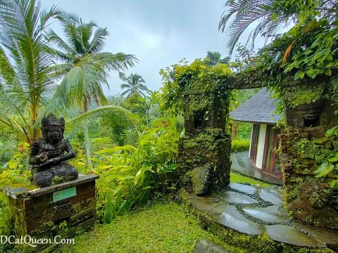 HOTEL BALI: ADIWANA DARA AYU VILLA, COCOK UNTUK YANG SEDANG HONEYMOON