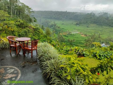 KULINER BALI: SANTAP SIANG DI MAHAGIRI PANORAMIC RESTO & VISIT PEMANDIAN DAUH DALEM RENDANG KARANGASEM