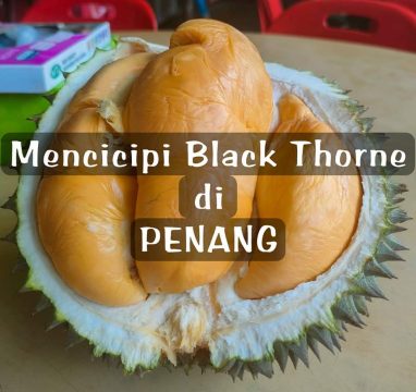 KULINER PENANG: MENGEJAR DURIAN BLACK THORNE HINGGA KE KOTA ASALNYA