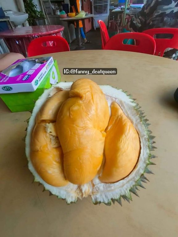 apa durian khas penang