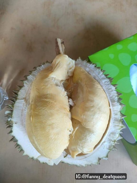 tempat makan durian terbaik di penang