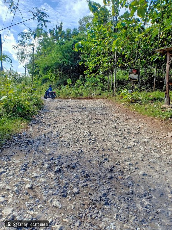 rute menuju pantai ngandong