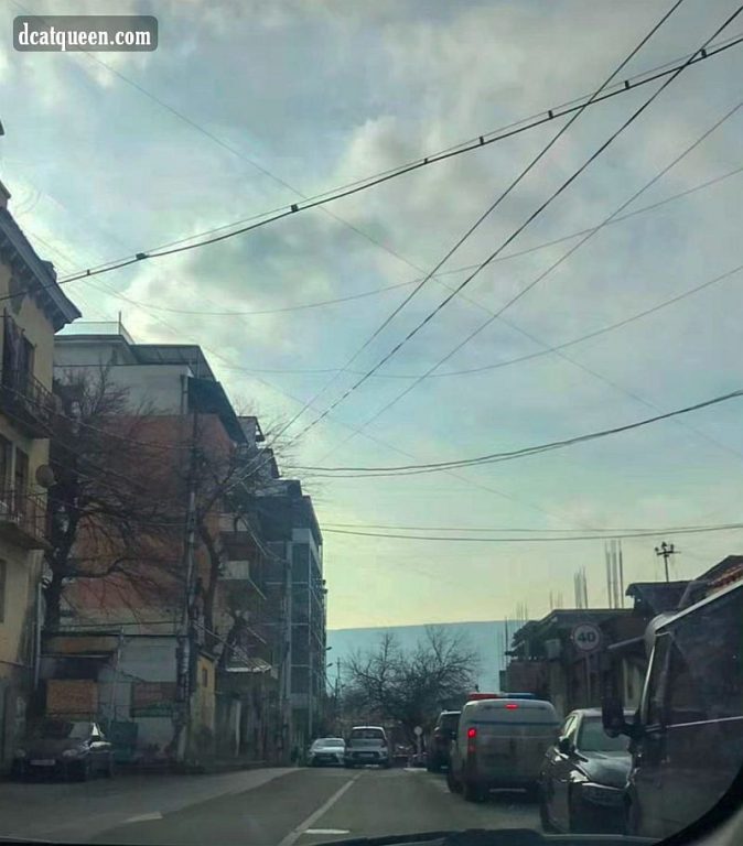 seperti apa kota tbilisi