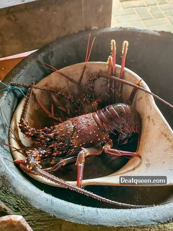 lobster enak di gunung kidul