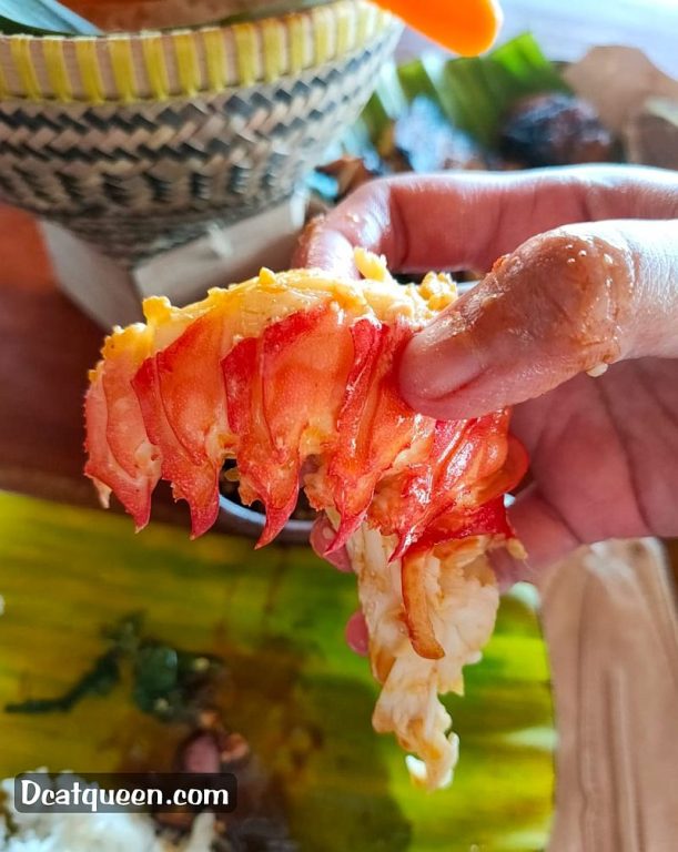 lobster enak dan murah di yogyakarta