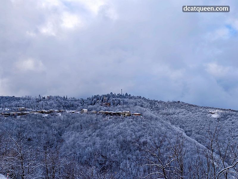 wisata di kakheti georgia