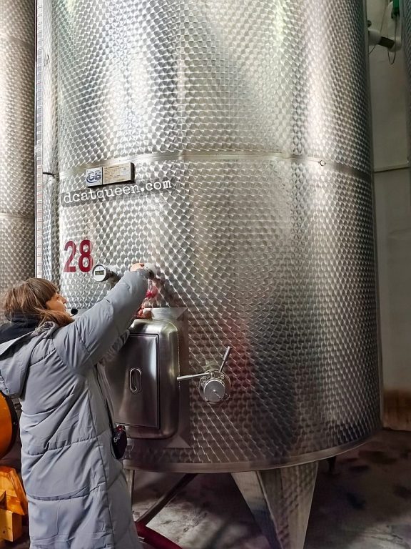 jenis wine yang ada di georgia