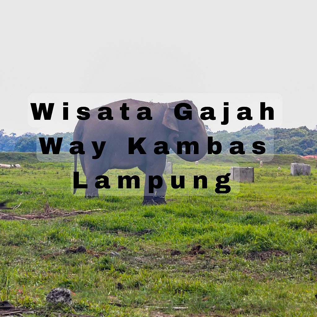 wisata di lampung