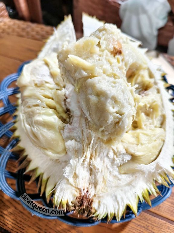 durian di lampung