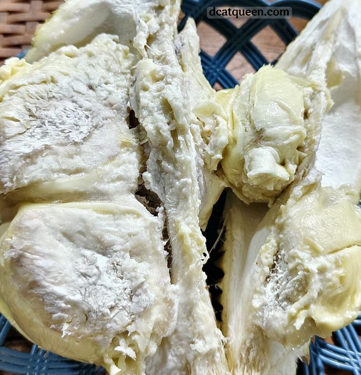 makan durian di lampung