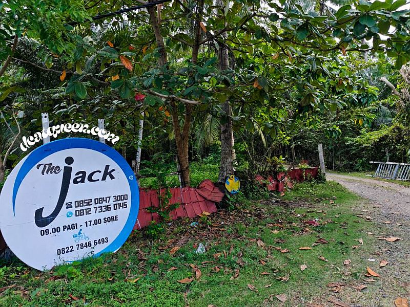 rekomendasi tempat makan di Krui lampung