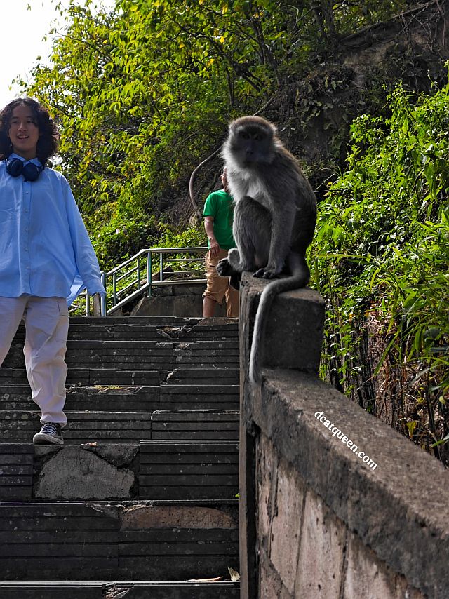 rekomendasi tempat wisata untuk keluarga di bukittinggi