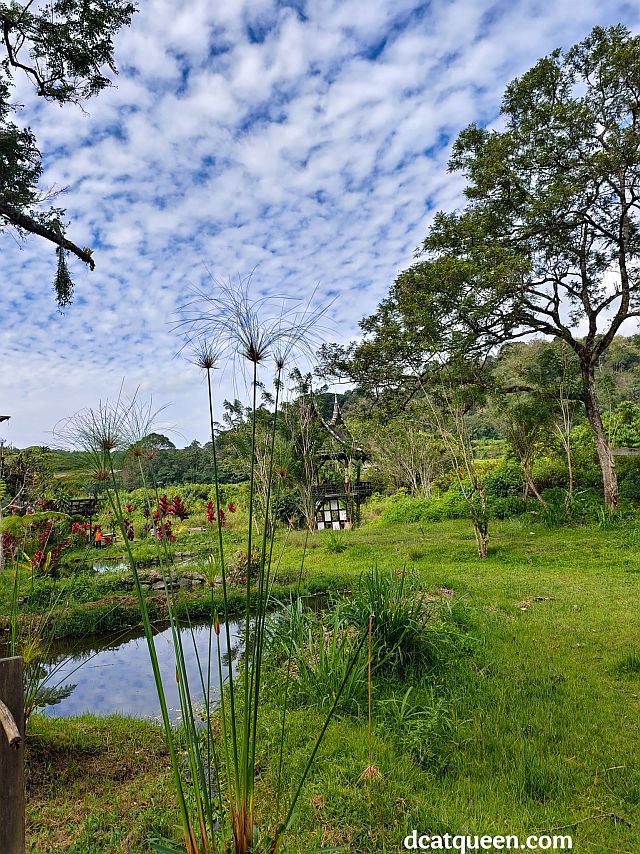 rekomendasi tempat ngopi di bukittinggi