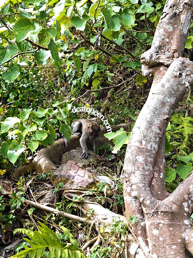 tempat wisata menarik di bukittinggi