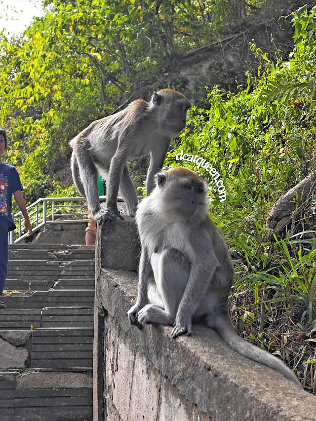 tempat wisata menarik di bukittinggi