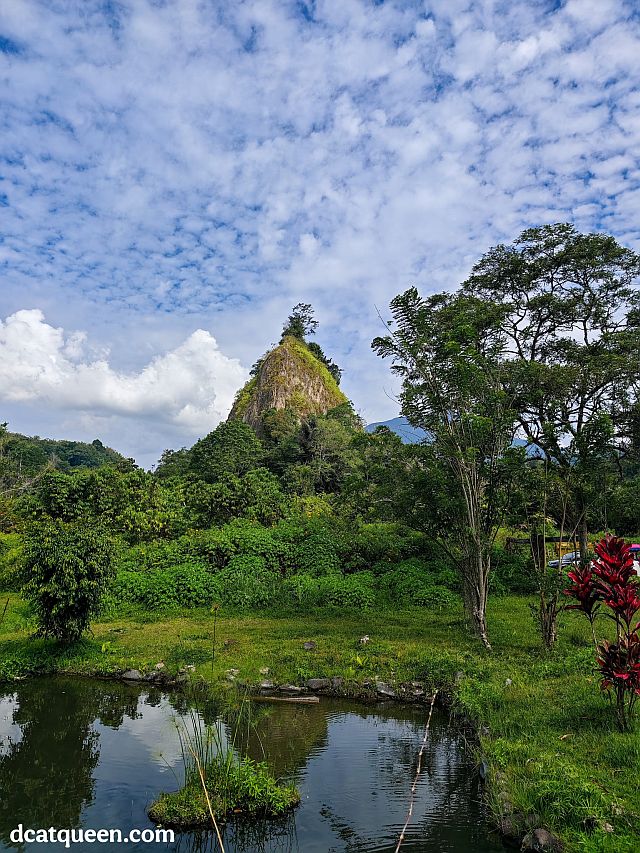 tempat ngopi paling cantik di bukittinggi