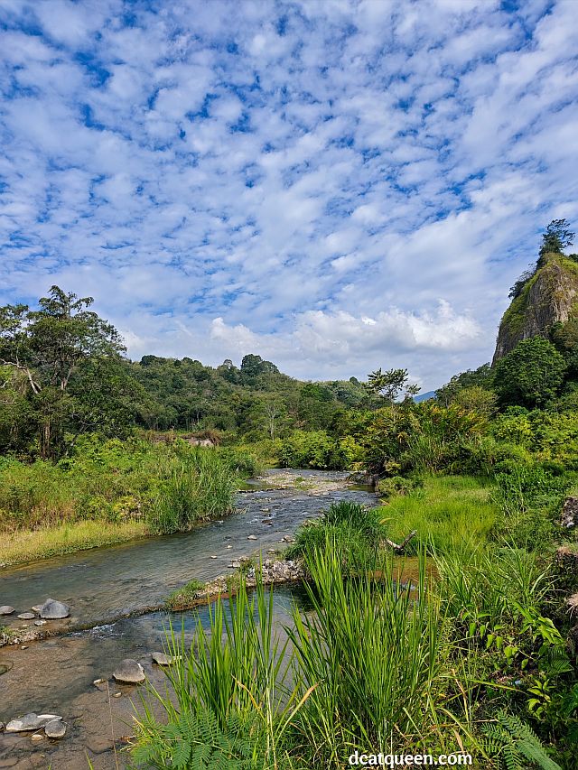 tempat ngopi paling rekomen di bukittinggi