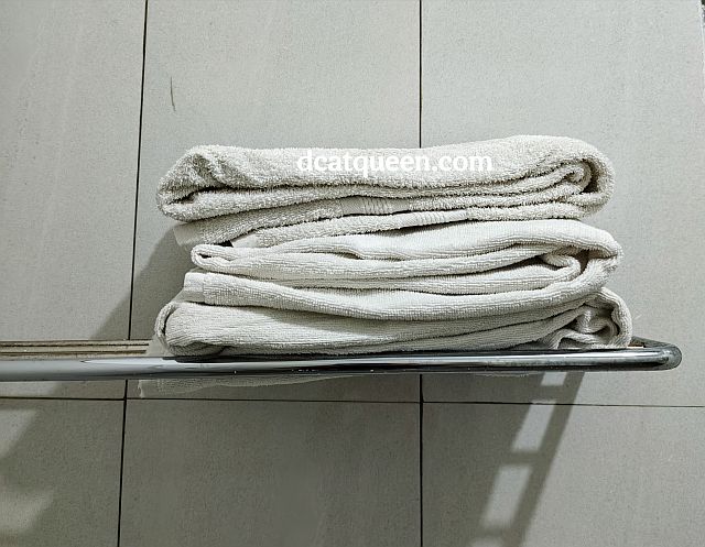 hotel yang cocok untuk keluarga di sidempuan