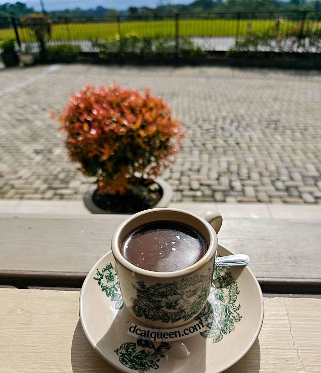 kopi yang khas sumatera utara