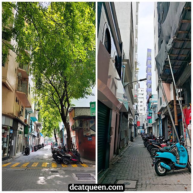 wisata seharian di male city