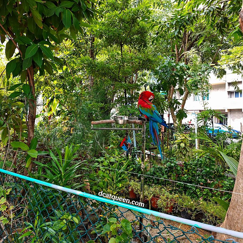 tempat wisata di male city maldives
