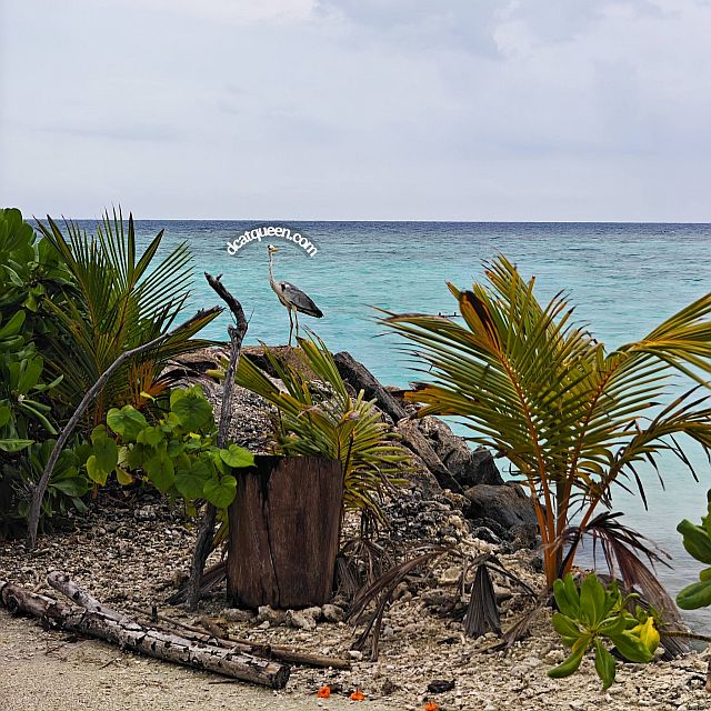 rekomendasi hotel menarik di maldives