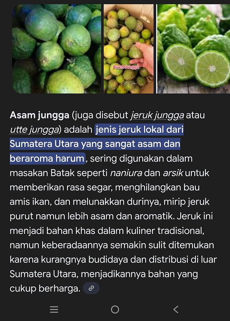 bumbu masakan orang batak