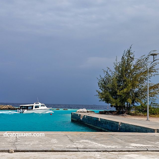rekomendasi boat di maldives