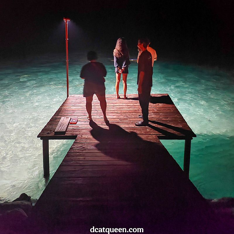 hotel yang bisa melihat hiu dan manta tiap malam di maldives