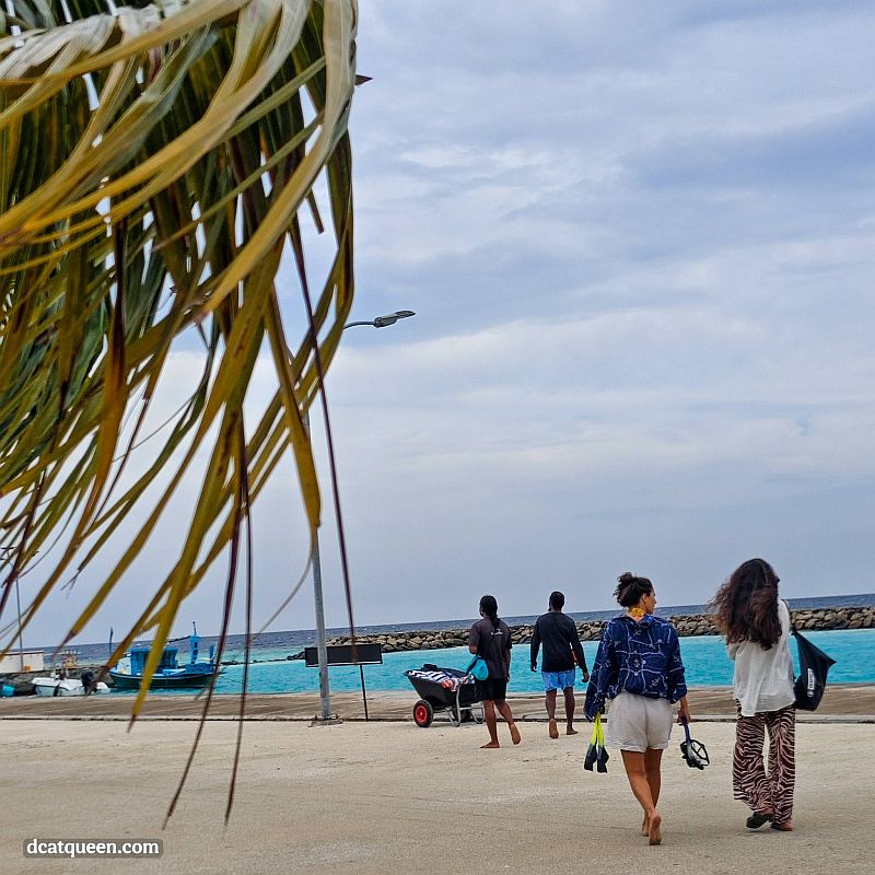 excursion selama di maldives