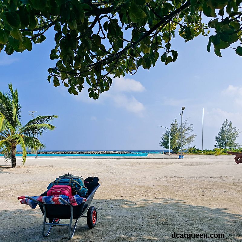 rekomendasi hotel di pulau lokal maldives