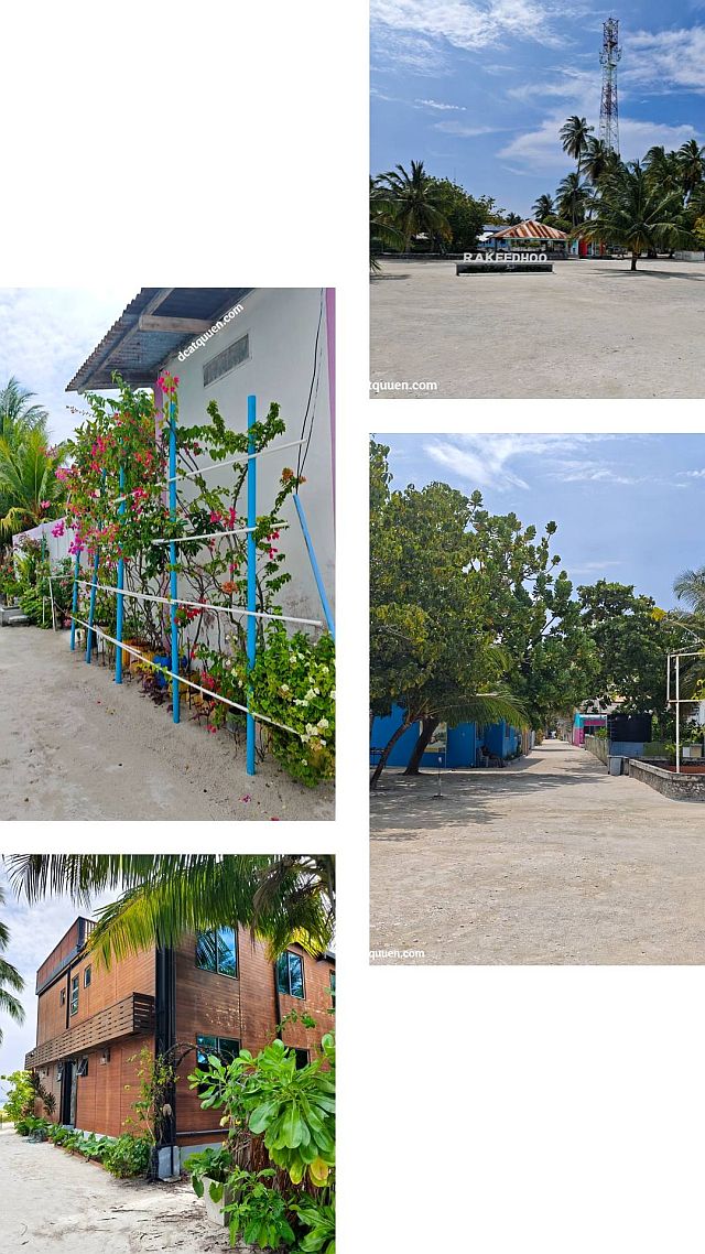 tempat menginap di pulau lokal maldives