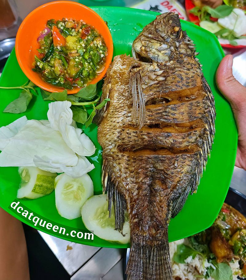 tempat makan seafood enak di medan