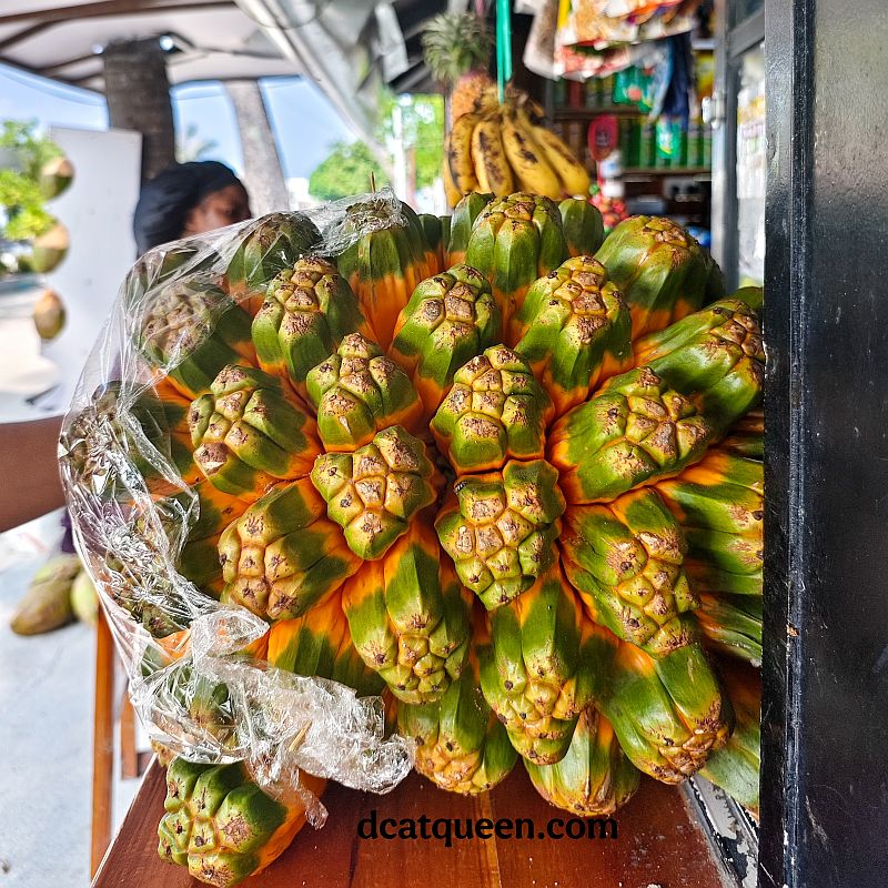 kuliner wajib coba di maldives