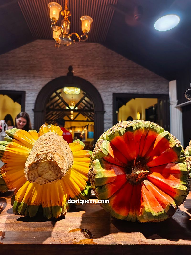 buah yang unik di maldives