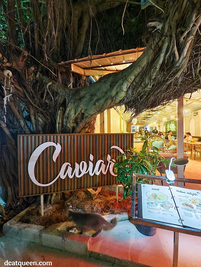 tempat makan di maafushi