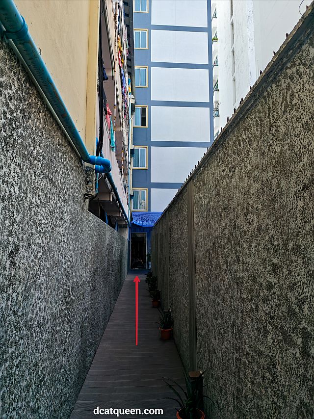di mana menginap di male city