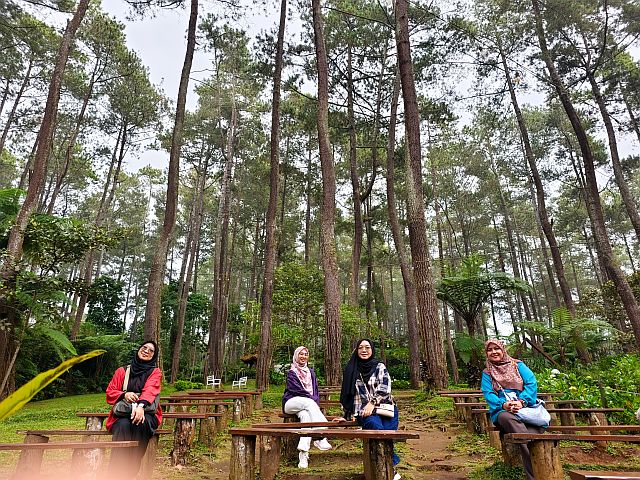 tempat menarik dan udaranya sejuk di lembang