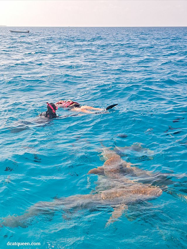 wisata seru di maldives