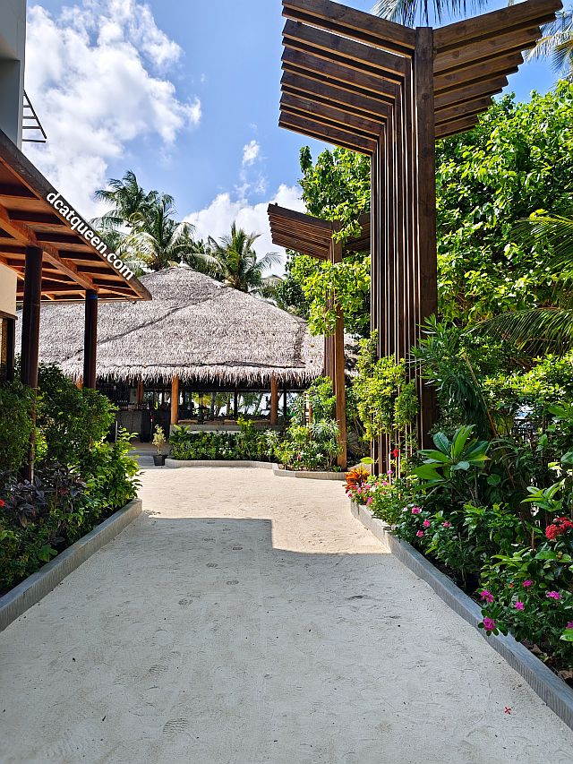 wisata maldives