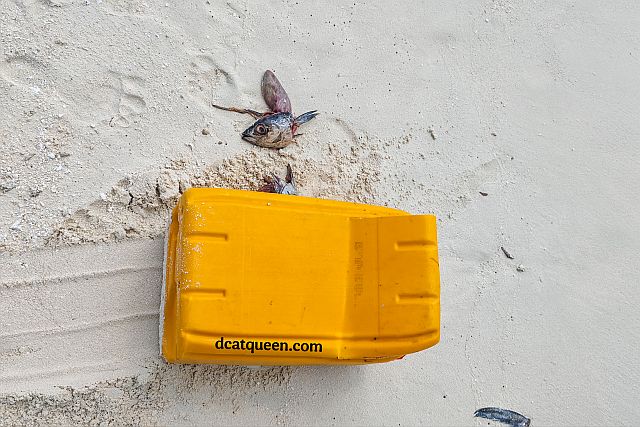 wisata seru di maldives